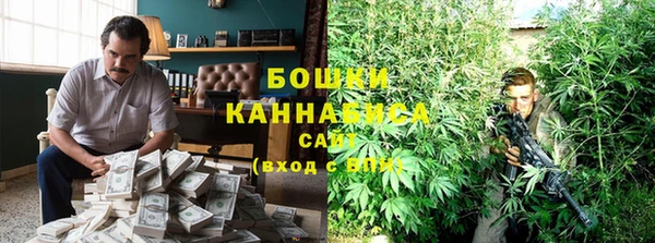 шишки Майский