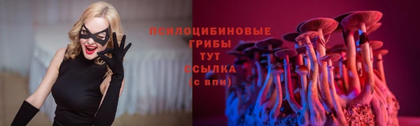 PSILOCYBIN Богородицк