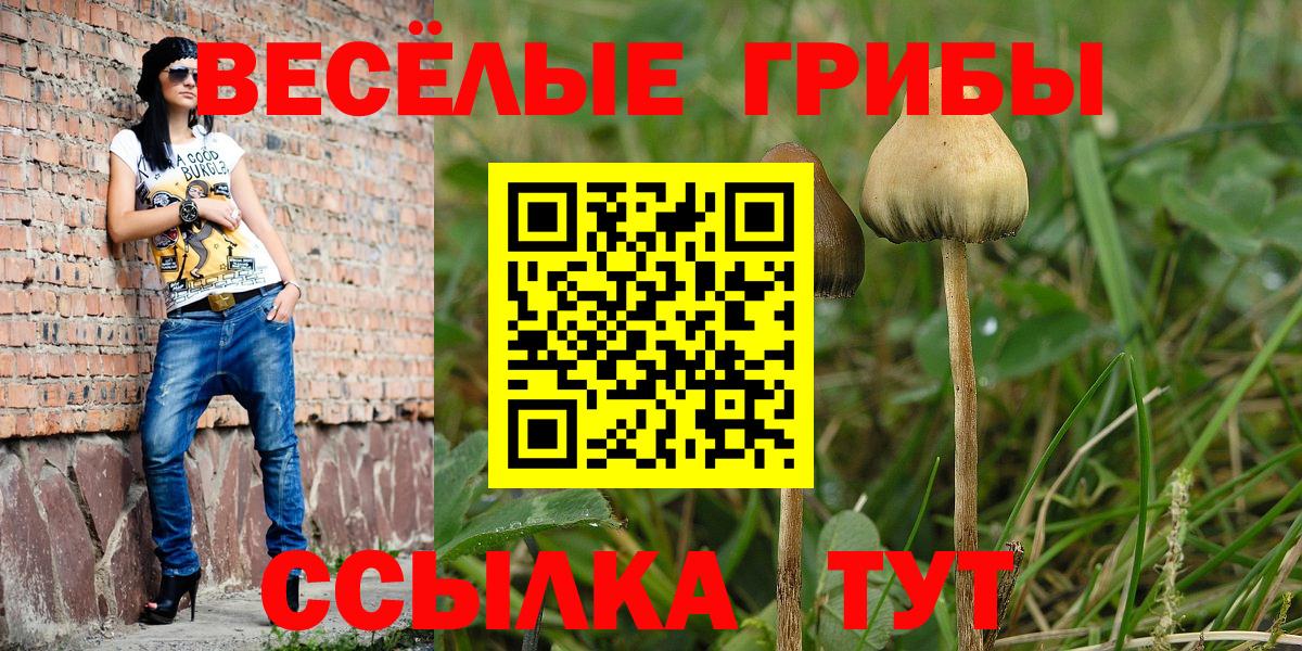 Киров  Галлюциногенные грибы GOLDEN TEACHER  Псилоцибиновые грибы Magic Shrooms  Вход с VPN 