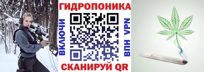 Бошки Шишки сатива Киров